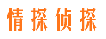 薛城侦探